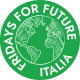 Fridays For Future Italia