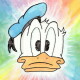 Conny Duck