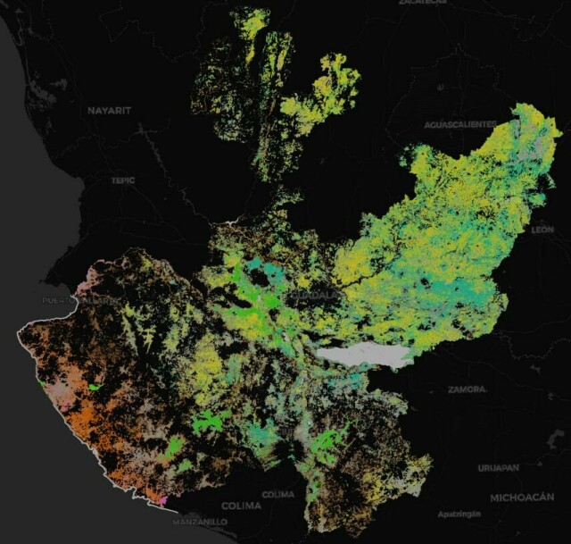 Jalisco crop classification result over a black Carto basemap.