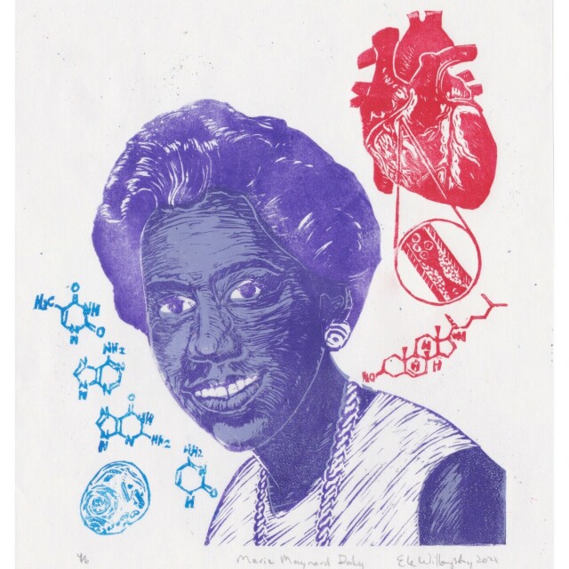 Linocut portrait of Marie Maynard Daly in purples (she’s a young m, smiling Black woman, wearing earrings, a necklace and a dress, looking at the viewer over her shoulder). Above her to the right is an anatomical heart with a blowout diagram in a circle of a clogged artery and the cholesterol molecule all in red. Next to her on the left in blue are the molecules of the bases which make up DNA and a diagram of a human cell.