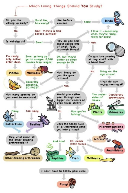 A humorous chart asking questions to help readers determine what living thing they should study.

A separate option at the bottom reads "I don't have to follow your rules" leading to fungi.