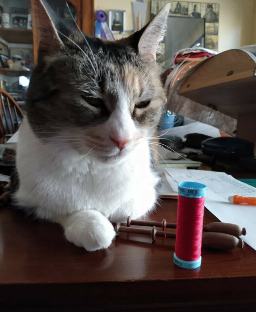 A helpful calico sits on the table near my lace pillow, offering to do....something. I'm trying to wind bobbins with red silk thread, which are right next to her one untucked paw. 
