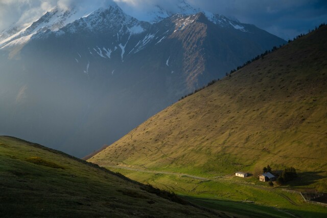 spring sunset on a mountain pasture in the Matheysine high lands with the snowy Coiro mounts in the background