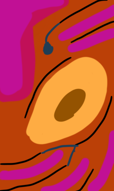 Blobs of colour that have a similar composition than the previous image. A dark orange background with a light orange circle in the middle and purple and black lines rotating around it. 