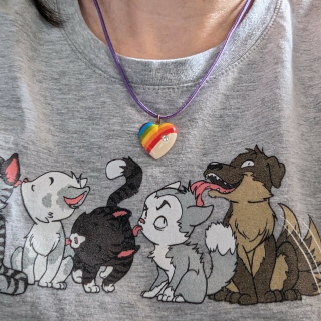 A heart shaped charm with a rainbow and a rhinestone is suspended as a necklace from a purple leather cord. Underneath it, a gray t-shirt has a row of cartoon cats delicately grooming each other. The last animal in line is a dog, wagging his tail wildly and very enthusiastically licking the annoyed cat in front of him. 