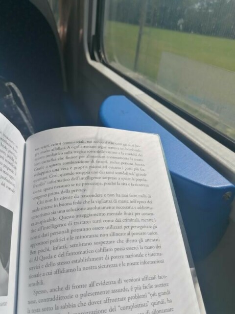 Il libro aperto alla pagina in lettura, si vede il portarifiuti attaccato sotto il finestrino e, all'esterno, prati verdi e alberi