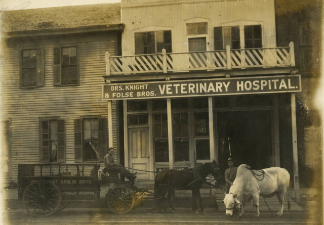 A sepia photo of a 2-story, wooden building. There is a man in a horse-drawn carriage parked in front of the business. 

There is another man standing and holding the reins of a second horse.