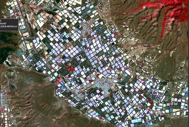 More crop segments on top of sentinel 2 satellite imagery 