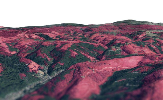 3D view of forest disturbances in the Harz Mountains