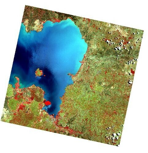 A false color satellite imagery showing a fragmented landscape with vegetation in red and a large water body in dark blue to cyan colors.