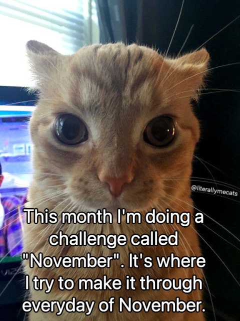 This month I'm doing a challenge called "November." It's where I try to make it through the month of November.