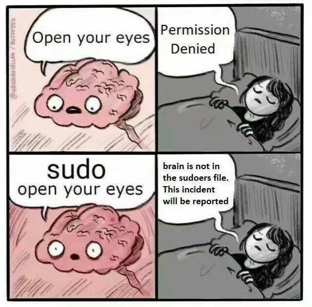 Brain: Open your eyes.

Person sleeping on bed: Permission denied.

Brain: Sudo open your eyes.

Person sleeping on bed: The brain is not in the sudoers file. This incident will be reported.