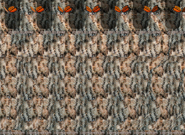 stereogram (3d picture) of a cat on a ledge with butterfly on its tail