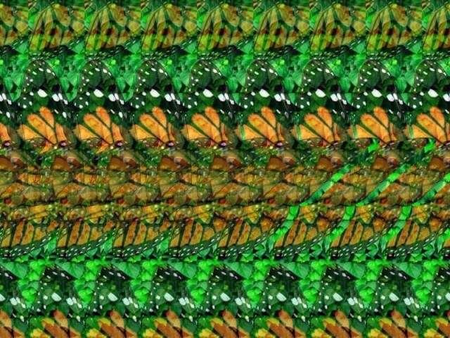 stereogram (3d image) of monarch butterfly