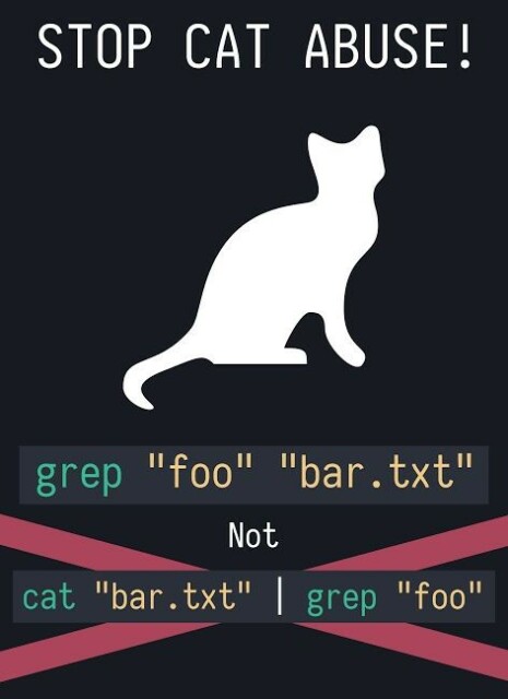 This is a meme about the "useless use of cat" command in Linux and Unix. The top caption reads, "Stop cat abuse!" In the middle, there is a picture of a cat, and at the bottom, the caption reads:

"grep 'foo' 'bar.txt'

Not

cat 'bar.txt' | grep 'foo'"