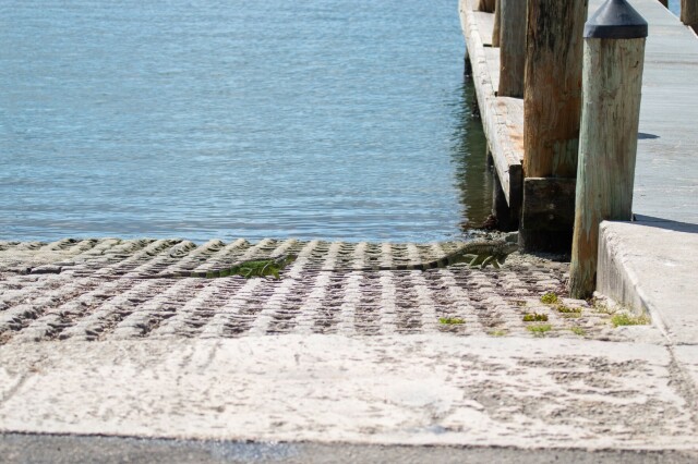 two green iguanas on a boat ramp