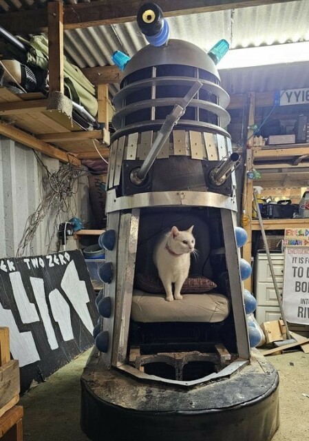 picture of a dalek - with a cat inside of it...