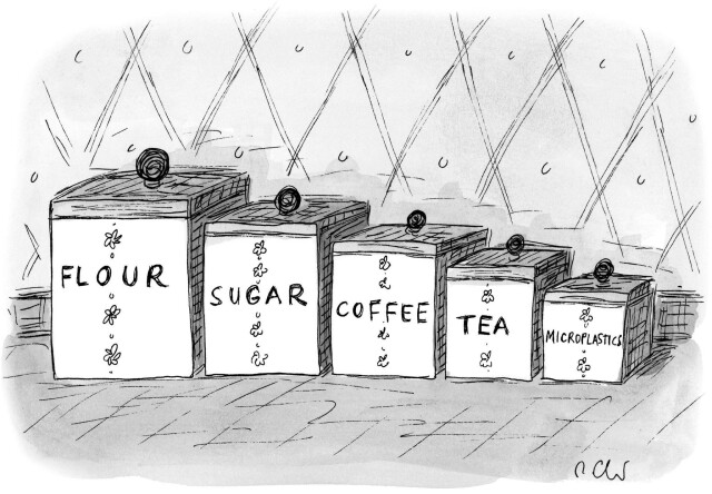 Black-and-white cartoon drawing of kitchen canisters. They are largest on the left and smallest on the right, and labeled "Flour," "Sugar," "Coffee," "Tea," "Microplastics"