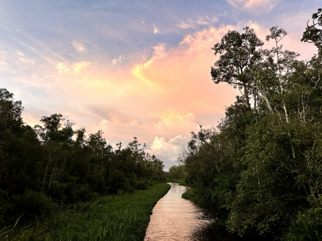 A river winding through forest with a spectacular sunset above