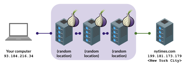 Rappresentazione schematica del funzionamento di Onion Share sulla rete Tor: il transito del file passa attraverso diversi server collocati sulla rete Onion