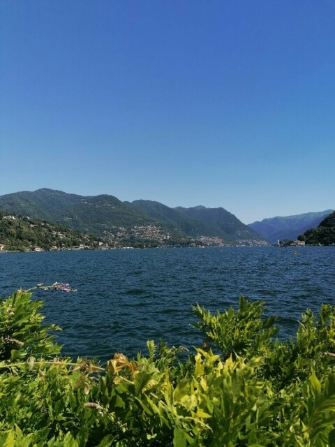 Il lago visto da sopra il glicine in fiore, lungo la via delle ville neoclassiche a Como, foto mia di stamattina.